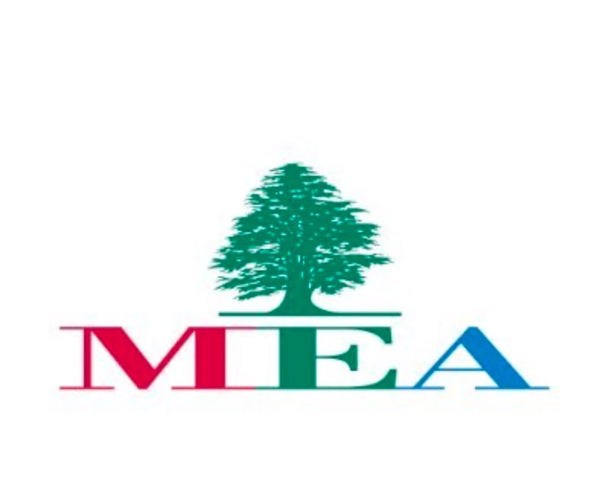 Middle East Airlines (MEA)